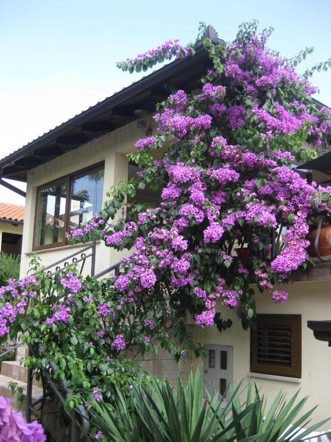 Apartments Ana Abbazia Esterno foto